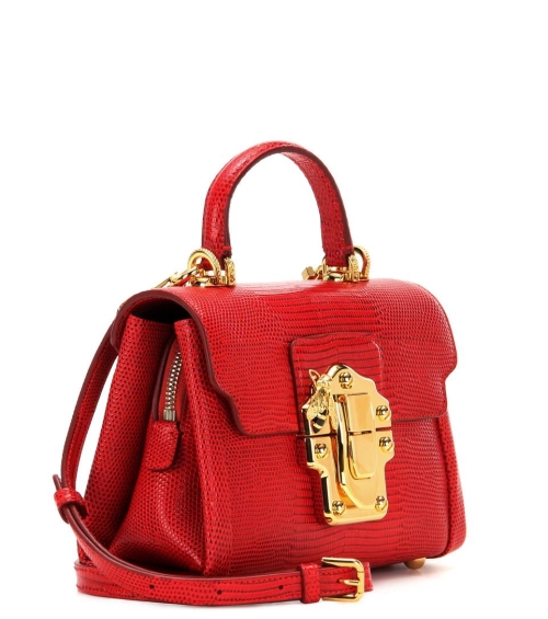 Small leather luggage bag red