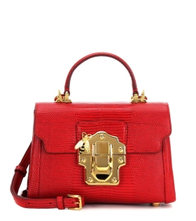Small leather luggage bag red